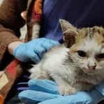 4776/168/25  - data przyjęcia - 13.12.2025