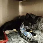 4775/167/25 Ikar  - data przyjęcia - 13.12.2025