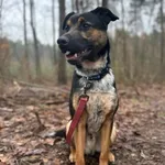 SKATE - nastolatek bez oznak buntu szuka domu