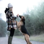 Pies do adopcji, Nowodwór, 21 grudnia 2025