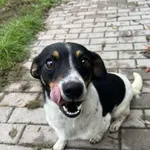 Aja - ur.ok. 09.2024r.