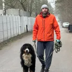 Pies do adopcji, Milanówek, 28 grudnia 2025