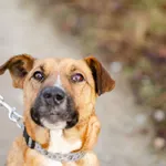 Oddam psa, Warszawa, 31 grudnia 2025