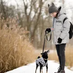 Znaleziono psa, Sosnowiec, 27 grudnia 2025