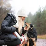 Pies do adopcji, Nowodwór, 5 stycznia 2026