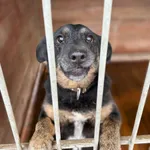 Oddam psa, Warszawa, 9 stycznia 2026