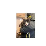 Znaleziono kota, Białystok, 12 stycznia 2026