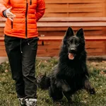 Pies do adopcji, Czartki, 12 stycznia 2026