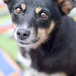 Oddam psa, Warszawa, 22 stycznia 2026