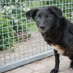 GRETA  – skrzywdzona staruszka marzy o bezpiecznym domu