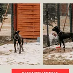 Dolar 616093903111658