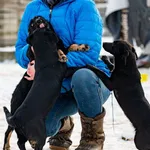 Znaleziono psa, Racławice, 27 stycznia 2026