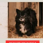 Arczi 900164001264891