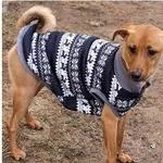 Znaleziono psa, Wrocław, 7 stycznia 2026