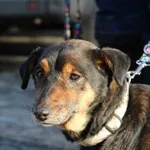 Rita – cicha obecność, która marzy o spokoju