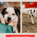 Knopers 616093903211194