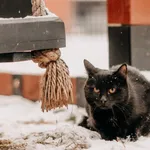 Bond 616093903032046