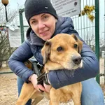 Pies do adopcji, Przyborówko, 13 lutego 2026