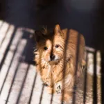 Tadzio 107/2026 REZERWACJA