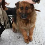 Funia - ur.ok. 01.01.2020r.