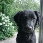 FESTER – nieśmiała młoda dusza, która dopiero poznaje świat