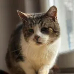 Bubbles - ur.ok. 2019r.