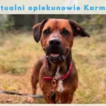 Karmel