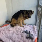 25.02.2026 - Traugutta / 012600099