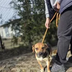 03.03.2026  - Ofiar Firleja / 012600103