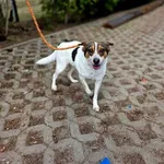 05.03.2026 - Kusocińskiego / 012600111