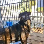 05.03.2026 - Kielecka / 012600110