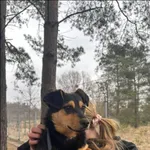 Znaleziono psa, Grudziądz, 7 marca 2026