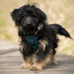 Stasiu  149/2026 REZERWACJA