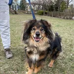 Tom - ur.ok. 01.03.2021r.