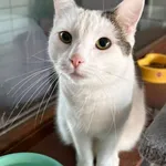 Luna - ur.ok. 09.09.2024r.