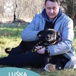 Pies do adopcji, Dąbrówka, 23 kwietnia 2026