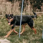 Leon 616093903264608