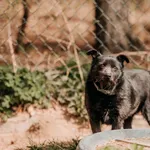 Trusia 616093903264549