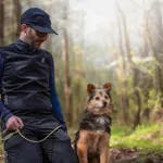 Pies do adopcji, Nowodwór, 26 kwietnia 2026