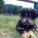 Wisa 160/26