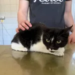 Sara.,