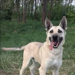 Luzak
