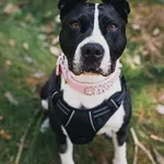 Fiona