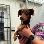 Sola.