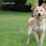 Nikita 0201/26