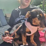 Zoja