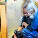 Kot do adopcji, Milanówek, 9 czerwca 2026