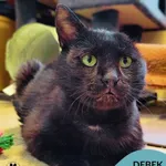 Dębek