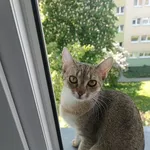 Kita
