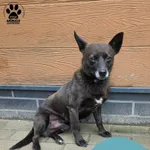 Sid